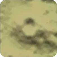 map_3d.webp
