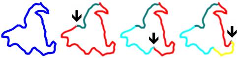 laps2.jpg