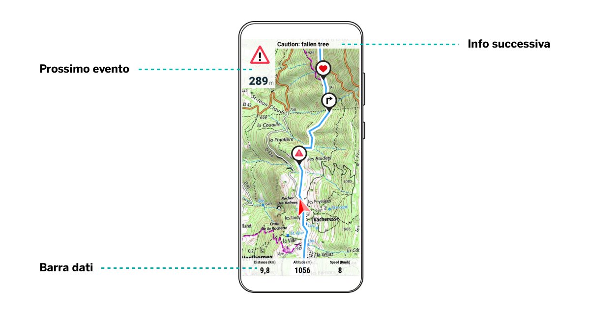 Navigating-1-it.jpg