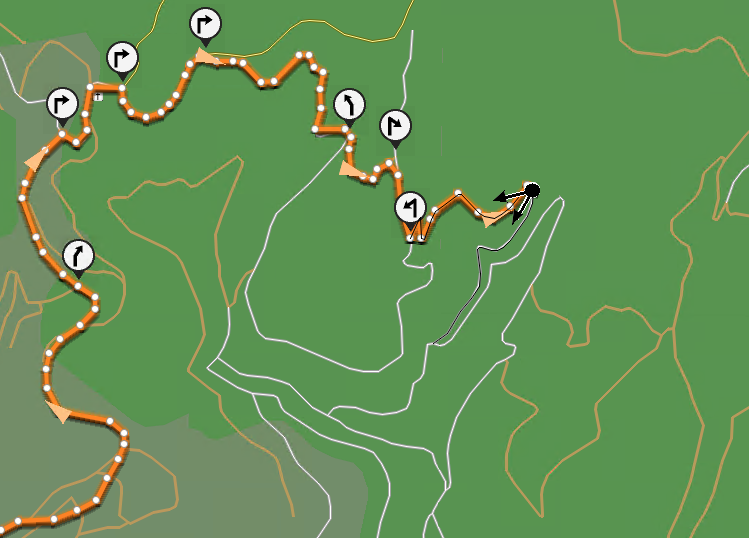 FastTrack-2.png
